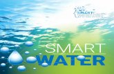 SMART WATER · 2019-04-01 · rondom het thema “Smart Water”. Vanuit de ondernemers, onderwijs en overheid is er de drive om deze uitdaging op te pakken. Er liggen kansen die