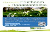 Hoogstam Fruitboom Haagplantactie - Velt · Hoogstam Fruitboom & Haagplantactie. Deze actie is een initiatief van Regionaal Landschap Groene Corridor vzw i.s.m. Bosgroep Groene Corridor