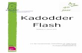 Kadodder Flash Kadodderflash.pdf · 4 Nieuws uit Kadodder Kadodder stelt zich voor Naar jaarlijkse gewoonte geven we een korte voorstelling van onze organisatie. Zo blijven jullie