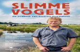 SLIMME VOGELS - Boer-en-vogels.nl · De Weide Weelde van Gildeboer Strijtveen Voordelen van kruidig ruwvoer Omschakelen naar bio op Terschelling De boer z’n natuur Een natuurinclusief