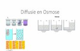 Diffusie en Osmose Diffusie en... · Osmose = de beweging van water door een semi-permeabele membraan, van de laagste naar de hoogste concentratie. Simpel gezegd: Osmose = diffusie