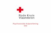 Psychosociale hulpverlening DSI - Prebes...2017/05/04  · 2011 –Hasselt –storm Pukkelpop –5 doden • incident op een risicomanifestatie 2012 –Zwitserland –busongeluk in