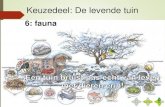 Cursus: De levende tuin - Wikiwijsmaken.wikiwijs.nl/bestanden/839322/6 Fauna in de tuin.pdfFauna in de tuin In iedere tuin kun je dieren verwachten. Dieren komen op water, voedsel