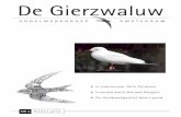 De Gierzwaluw - Vogels in Amsterdam · Meld je tijdig aan bij de excursieleider, met name voor auto-excursies. Vermeld hierbij: naam en telefoonnummer,hebjeeenautobeschikbaar,enzoja,hoeveelmensenkunnenermeerijden.