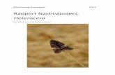 Rapport Nachtvlinders, Heterocera...Janssens, Maarten Jacobs en Chris Steeman ook bedanken voor de identificaties en verificaties van de moeilijke soorten en het doorspelen van oude