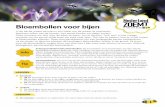 Bloembollen voor bijen - Nederland ZOEMT · Laat de leerlingen het ‘dagboek van een bol’ zien. Hierin kunnen ze elke week een tekening maken van hun bloembol(len). De kinderen