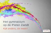 Het gymnasium op de Pieter Zandt€¦ · • Presentatievaardigheden – debatteren – presenteren . Hoe werken we aan deze vaardigheden? • Vaklessen • Mentoraat • Projecten