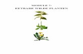 EETBARE WILDE PLANTEN - foodlab HKfoodlabhk.be/.../05/Module-7-eetbare-wilde-planten.pdf · Module 7: eetbare wilde planten – Rudi Verheyden Pagina 3 A. INLEIDING Deze module bevat