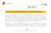 Nieuwsbrief 58 Zomer 2011 - Vlaanderen€¦ · voordroogkuil of hooi die deze giftige planten bevatten, kunnen schadelijk zijn. Anderzijds is het wel belangrijk te stellen dat de