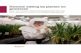 Genome editing bij planten en gewassen - Rathenau · 2019-02-04 · Genome editing bij planten en gewassen Naar een modern biotechnologiebeleid met oog voor verschil in risico’s
