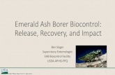 Emerald Ash Borer Biocontrol: Release, Recovery, and Impact · Emerald Ash Borer Biocontrol: Release, Recovery, and Impact Ben Slager Supervisory Entomologist EAB Biocontrol Facility