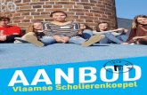 De Vlaamse Scholierenkoepel, dat zijn meer zijn en ondersteuning … · 2018-09-05 · Laat deze brochure trouwens gerust een heel parcours aﬂeggen op jouw school of binnen jouw