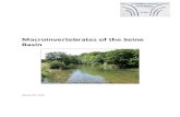 Macroinvertebrates of the Seine Basin€¦ · 3. The Seine basin and the sampling stations 3.1. The Seine Basin The area of the Seine basin comprises almost 279,000 km of which 78%