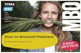 Stoer en Bruisend Platteland - Oldambt · “Lange tijd is er in Oost-Groningen gehoopt en wellicht verwacht dat de oplossing, de goede tijding, van buiten zou komen. Liefst vergezeld