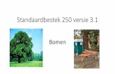 Standaardbestek 250 versie 3 · Hoofdstuk 2 :Algemene bepalingen •Herinrichting van de totale boombeschermingszone •Na de werken wordt het terrein heraangelegd •Bestaande bomen