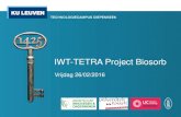 IWT-TETRA Project Biosorb · Van organisch afval naar biochar via pyrolyse 2. Adsorptiecapaciteit van biochar ... Use or not use of catalyst ... sensitive towards investment cost;