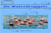 De Waterdroppels · 2014-06-13 · zondag 29 juni 2014 via: ... We eindigen de infodag dus met een gezellig borrel, zodat we het nieuwe seizoen feestelijk openen. We willen aan alle