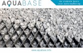 Presentatie AquaBASE · 2020-07-02 · Presentatie AquaBASE. ... AquaBASE is een stabiele waterbufferende fundatie voor onder wegverhardingen. Door water te bufferen en vast te houden