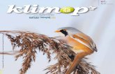 jaar - Natuur.koepel vzw · 2020-01-09 · uitgedoste vogeltjes zijn enkel in de winter bij ons te vinden als ze foerageren op zaadjes uit rietstengels. Net als veel vogels uit het