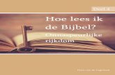 Hoe lees ik de Bijbel? - KLERONOMIA · 2020-01-05 · Onnaspeurlijke rijkdom Hans van de Lagemaat Deel 4 . 1 Hoofdstuk 1 Overzicht Dit hoofdstuk is bedoeld als een samenvatting van