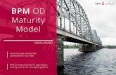 BPM OD Maturity Model · Verbind bedrijfsvoering integraal 07 Stimuleer keten naar missie & visie 08 start Kwaliteitszorg ... Communicatie Toezicht Advisering Wetten MARAP Facturatie
