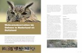 Webcamobservaties bij Oehoes in Nederland en Duitsland · onderzoek kan worden ingezet. Duizenden mensen kunnen zo bijvoorbeeld meekijken in de nesten van diverse vogelsoorten. In