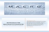 MACROFOTOGRAFIE verborgen blijft. In deze introductie worden · Voor macrofotografie zijn er voor ieder cameratype (met verwisselbaar objectief) speciale macro-objectieven te koop,