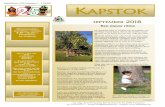 KAPSTOK - De Loodsen · 2018-08-29 · Afgiftekantoor 2000 Antwerpen 1 - P 008260 PENINGSUREN Misschien hebben we bij tochten door de natuur, SEPTEMBER 2018 Nr. 229 september verschijnt
