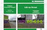 Congres Innovatief Inkopen Lab op Straat - PIANOo · meetdata en verwezelijking van Smart City Rotterdam 11 . 12 Innovatie kan alleen slagen bij: