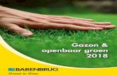 Gazon & openbaar groen 2018 - Barenbrug · Shadow Hét mengsel voor gebruik in schaduwrijke gebieden. Voor de ontwikkeling van dit unieke gras is ‘Deschampsia cespitosa’ geselecteerd.