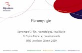 Fibromyalgie - IJsselland Ziekenhuis · •Promotie 1992 JBI/UVA (lage rugpijn) •Werkzaam Rijndam locatie IJsselland ... - Passief geen bewegingsbeperking Casus . Gedrag •Constant