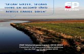 ‘Skoan water, skoane lucht en gesond lând achter failige ... · FNP Waterskapsprogram 2019 -2023 Faststeld in de Algemene Ledefergadering fan de FNP op 23 novimber 2019 - BILDTSK