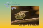 De Wulp - haagsevogels.nl · 2019-03-20 · De Wulp 49e jaargang, nr. 4, november 2018 COLOFON De Wulp is een kwartaaluitgave van de Haagse Vogelbescherming die gratis wordt toegezonden