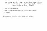 Presentatie permacultuurproject Karla Mulder, 2012 · - Over de grondsoort: zand - Over de wortels: de wortels van de esdoorn zijn sterk; muurtjes houden hen niet tegen. Zelfs huizen