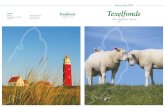 Jaarverslag Texelfonds 2015 · 2016-05-18 · 4. 5. Jaarverslag 2015 Geachte lezer, Voor u ligt het jaarverslag 2015 van de Stichting Gemeenschapsfonds Texel, het Texelfonds. Het