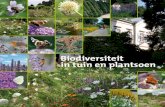 Biodiversiteit in tuin en plantsoen - Bijenlandschap · diensten, ook voor de biodiversiteit. ... tabel op de volgende pagina staat een overzicht van veel voorkomende drachtplanten