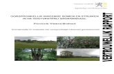 OORSPRONKELIJK INHEEMSE BOMEN EN STRUIKEN IN DE ... · overzicht van het genus Salix in Vlaanderen: autochtone taxa en cultuurvariëteiten’ (A. Zwaenepoel, ... Deze databank is