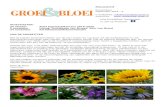 ACTIVITEITEN: 24 oktober Start bloemschikcursus 2019-2020 9 … · 2019-10-20 · uitdagende onderdeel van Gardenista en dat is het programma. Denk hierbij aan het verzamelen en indelen