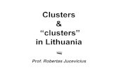 Prof. Robertas Jucevicius - OECD · Prof. R. Jucevi ius - Lithuania 7 Clusters & “ clusters ” in Lithuania Suppliers (State forestry, private forest owners) Transport companies