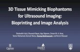 3D Tissue Mimicking Biophantoms for Ultrasound Imaging: … · Tamer Mohamed Dr. Konrad Walus Prof. Purang Abolmaesumi Prof. Parvin Mousavi . 26 . Title: PowerPoint Presentation Author: