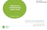 BRUSSELSE ONTMOETINGEN ROND WATER · ONTMOETINGEN ROND WATER 22 MAART 2018 Anne-Claire DEWEZ Departement Water – LB Uitvoering van het Regennetwerk Mise en œuvre du Maillage Pluie.