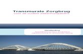 Transmurale Zorgbrug - In voor zorg! - summier met de patiأ«nt besproken, waardoor de patiأ«nt thuis