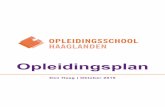 Den Haag | Oktober 2015...Binnen de OSH werken de VO-scholen samen met de opleidingsinstituten aan de opleiding van nieuwe docenten en aan de professionalisering van (startende) docenten.