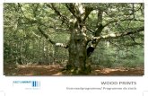 Print HPL Wood Imitation Stock programme final afloop · 2018. 7. 20. · Print HPL, biedt een zeer uitgebreid leveringsprogramma aan van duurzaam plaatmateriaal, geschikt voor toepassingen