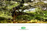 e-lib.iclei.orge-lib.iclei.org/wp-content/uploads/2018/10/Adapata... · 3 APRESENTAÇÃO Os ecossistemas naturais protegidos são fundamentais para tornar a biodiversidade e as sociedades