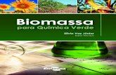 Biomassa - Webnodefiles.download-de-livros-gratis.webnode.com/... · silvio.vaz@embrapa.br. Biomassa para Química Verde iii Os conceitos de biorrefinaria e química verde enfocam