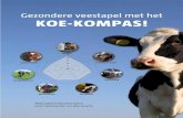Wat doet de dierenarts tijdens de Koe-Kompas-bezoeken? Koe ... · Het Koe-Kompas is een managementinstrument om samen met uw dierenarts te kijken naar voeding en water, huisvesting,