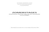 ZOMERSTAGES 2020€¦ · Korte voorstelling: Vandelanotte werd in 1948 opgericht en is inmiddels uitgegroeid tot een top 10 accountants- en auditkantoor in België met meer dan 350