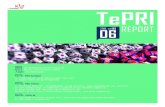 2018 TePRI vol.85전체tepri.kist.re.kr/wp-content/uploads/2018/11/TePRIvol.85... · 2018. 11. 5. · TePRI 06 2018. vol.85 REPORT TePRI REPORT 2018. 06. vol. 85 Technology Policy