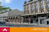 RUP Rubens - Antwerp€¦ · de 21ste eeuw binnen te loodsen. Niet tegenstaande is de wens groot om het Rubenshuis weer een huis te laten zijn. Momenteel wordt het monument (over-)